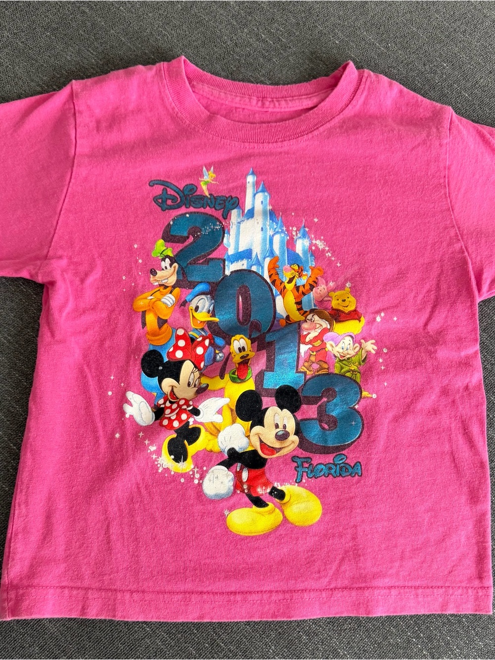 Disney Pink 2013 Florida Character Tee for Kids